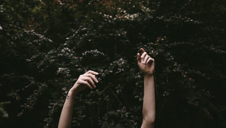 nicole-mason-19733-unsplash nicole-mason-19733-unsplash