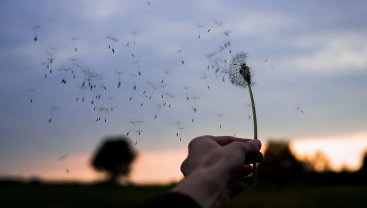 Un soffio di vento