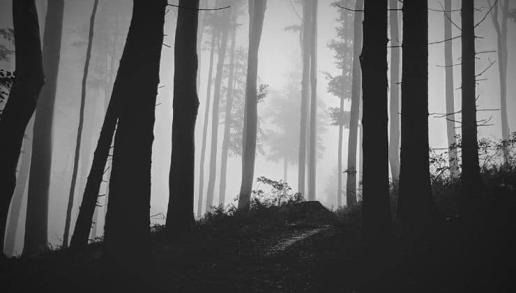 Il tormento dell'assassino